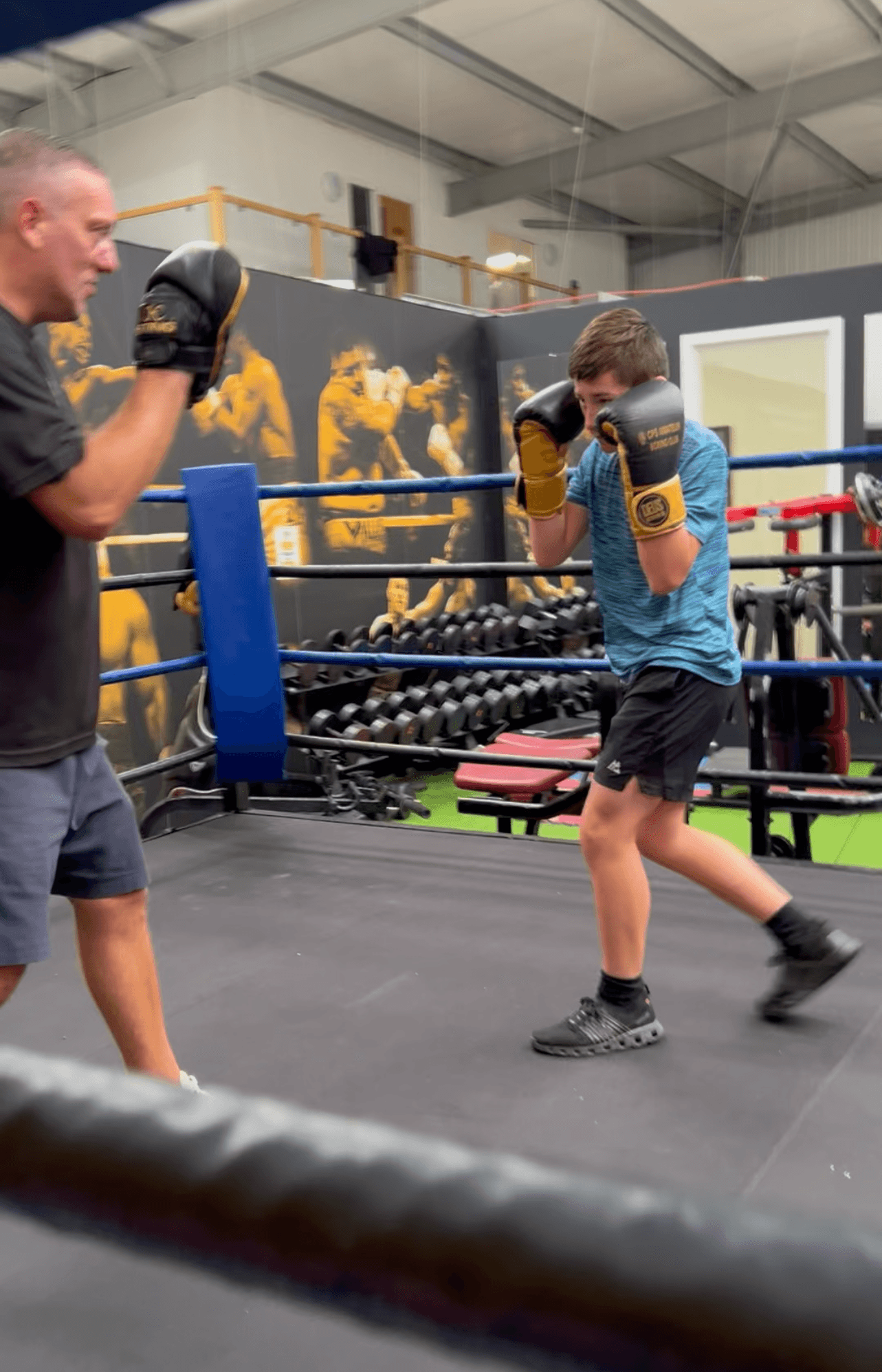 Box and Bars in action